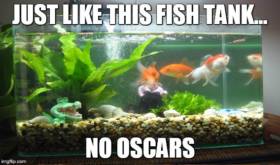 JUST LIKE THIS FISH TANK... NO OSCARS | made w/ Imgflip meme maker