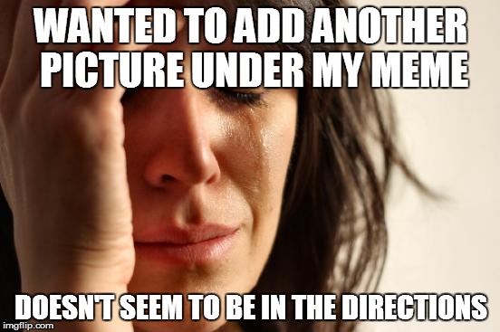 Saw it once but haven't found it again... | WANTED TO ADD ANOTHER PICTURE UNDER MY MEME; DOESN'T SEEM TO BE IN THE DIRECTIONS | image tagged in memes,first world problems | made w/ Imgflip meme maker