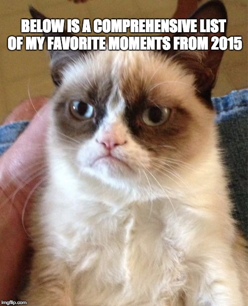 Grumpy Cat | BELOW IS A COMPREHENSIVE LIST OF MY FAVORITE MOMENTS FROM 2015 | image tagged in memes,grumpy cat | made w/ Imgflip meme maker