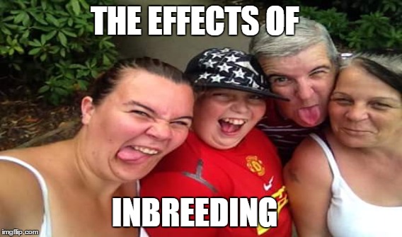 THE EFFECTS OF; INBREEDING | image tagged in funny | made w/ Imgflip meme maker