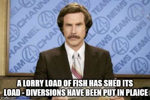 Bring on the fish puns! | A LORRY LOAD OF FISH HAS SHED ITS LOAD - DIVERSIONS HAVE BEEN PUT IN PLAICE | image tagged in memes,ron burgundy,lorry,fish puns,puns | made w/ Imgflip meme maker