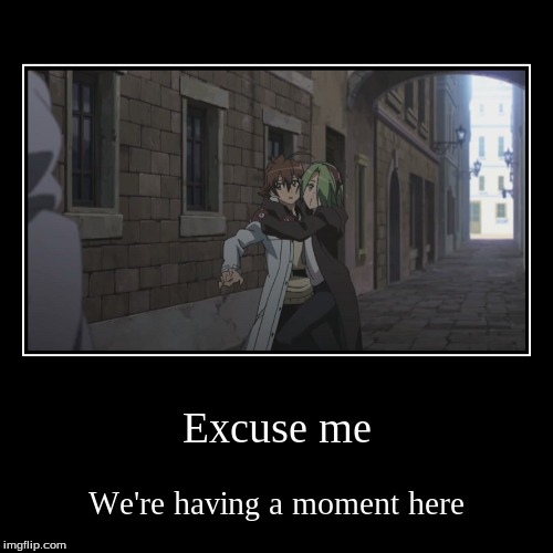 Privacy please! | image tagged in funny,demotivationals,anime,animeme,akame ga kill,excuse me | made w/ Imgflip demotivational maker