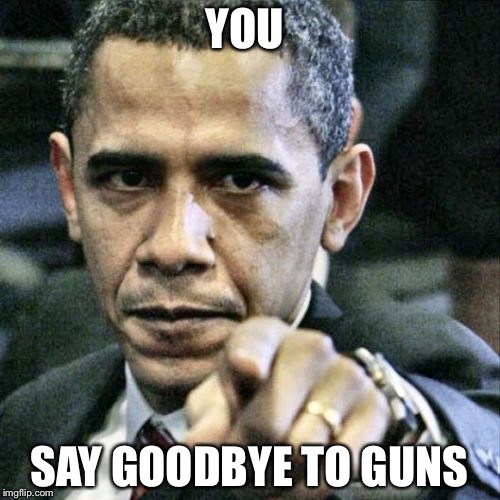 This is not how gun control actually works | YOU; SAY GOODBYE TO GUNS | image tagged in memes,pissed off obama | made w/ Imgflip meme maker