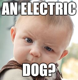 Skeptical Baby Meme | AN ELECTRIC DOG? | image tagged in memes,skeptical baby | made w/ Imgflip meme maker