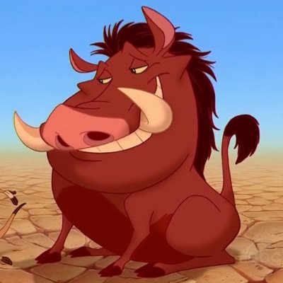 Pumba Blank Meme Template