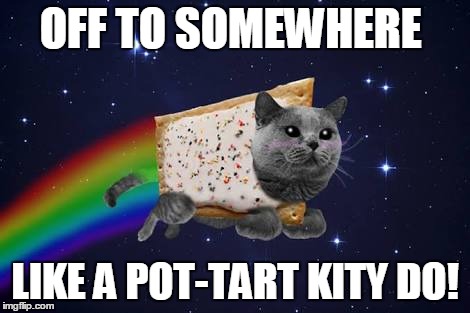Nyan cat | OFF TO SOMEWHERE; LIKE A POT-TART KITY DO! | image tagged in nyan cat | made w/ Imgflip meme maker