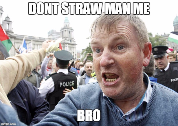 wille tazer | DONT STRAW MAN ME; BRO | image tagged in wille tazer | made w/ Imgflip meme maker