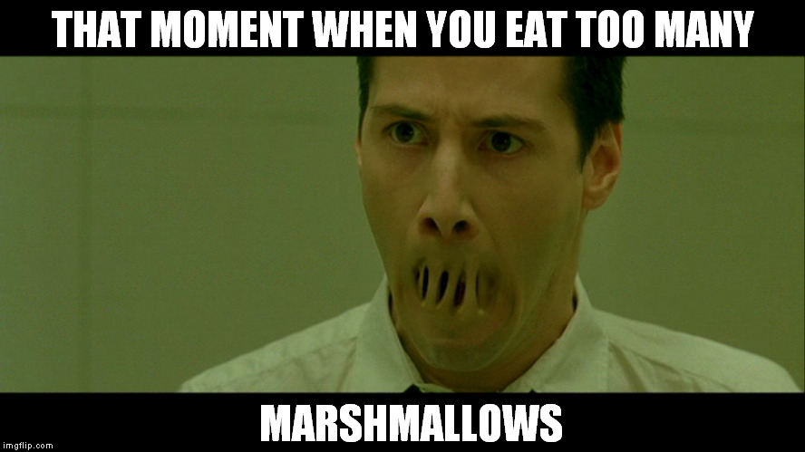 Dif if the last one, I pwomise | THAT MOMENT WHEN YOU EAT TOO MANY; MARSHMALLOWS | image tagged in memes,funny,matrix,neo | made w/ Imgflip meme maker