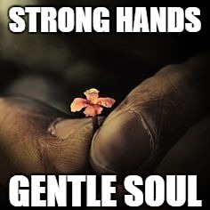 STRONG HANDS; GENTLE SOUL | image tagged in strong,hard,work,hardworker,gentle,kind | made w/ Imgflip meme maker