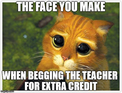 Shrek Cat Meme | THE FACE YOU MAKE; WHEN BEGGING THE TEACHER FOR EXTRA CREDIT | image tagged in memes,shrek cat | made w/ Imgflip meme maker