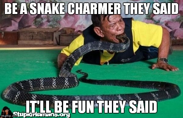 BE A SNAKE CHARMER THEY SAID IT'LL BE FUN THEY SAID | made w/ Imgflip meme maker
