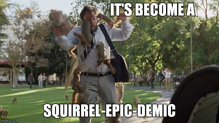 IT'S BECOME A SQUIRREL-EPIC-DEMIC | made w/ Imgflip meme maker