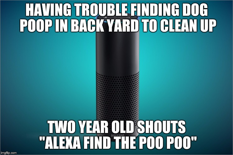Amazon Echo | HAVING TROUBLE FINDING DOG POOP IN BACK YARD TO CLEAN UP; TWO YEAR OLD SHOUTS "ALEXA FIND THE POO POO" | image tagged in amazon echo | made w/ Imgflip meme maker