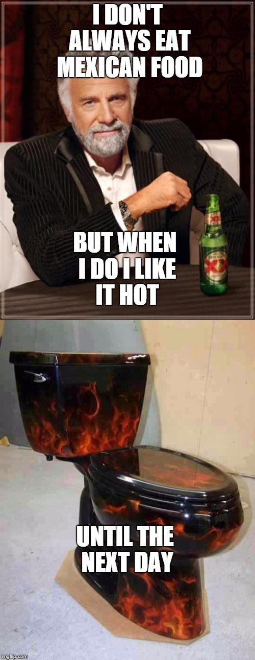 I DON'T ALWAYS EAT MEXICAN FOOD; BUT WHEN I DO I LIKE IT HOT; UNTIL THE NEXT DAY | image tagged in the most interesting man in the world,memes,toilet humor | made w/ Imgflip meme maker