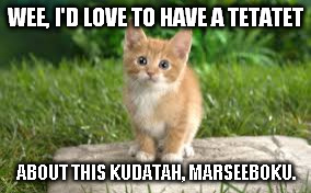 EPIC FAIL AT FRENCH | WEE, I'D LOVE TO HAVE A TETATET; ABOUT THIS KUDATAH, MARSEEBOKU. | image tagged in alberta,face palm,french,canada cat,duh | made w/ Imgflip meme maker