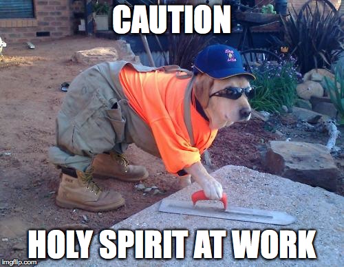Construction dog | CAUTION; HOLY SPIRIT AT WORK | image tagged in construction dog,holy spirit,holy ghost,construction,caution,at work | made w/ Imgflip meme maker