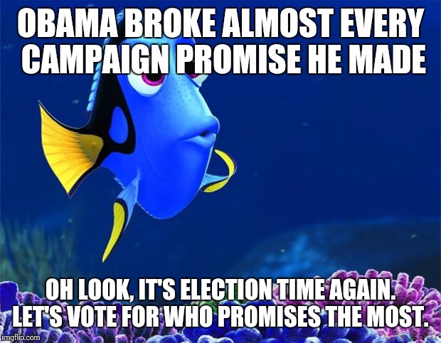 Dory | OBAMA BROKE ALMOST EVERY CAMPAIGN PROMISE HE MADE; OH LOOK, IT'S ELECTION TIME AGAIN. LET'S VOTE FOR WHO PROMISES THE MOST. | image tagged in dory,AdviceAnimals | made w/ Imgflip meme maker