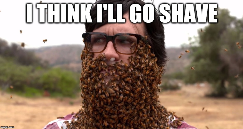 Link's Bee Beard | I THINK I'LL GO SHAVE | image tagged in link's bee beard | made w/ Imgflip meme maker