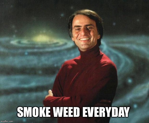 carl sagan | SMOKE WEED EVERYDAY | image tagged in carl sagan | made w/ Imgflip meme maker