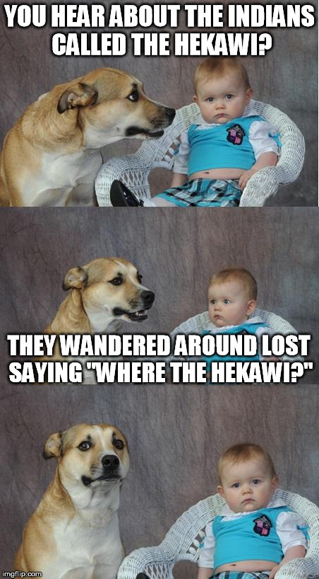 F-Troop | YOU HEAR ABOUT THE INDIANS CALLED THE HEKAWI? THEY WANDERED AROUND LOST SAYING "WHERE THE HEKAWI?" | image tagged in bad joke dog | made w/ Imgflip meme maker