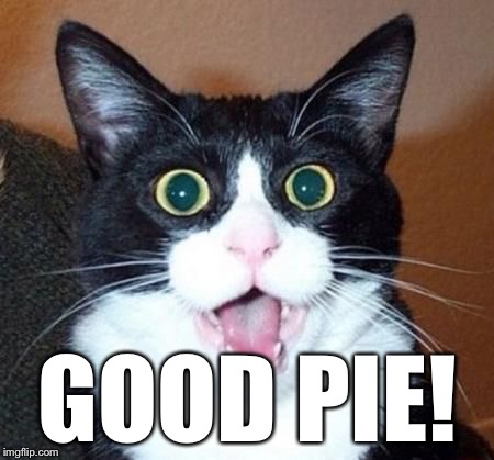 whoa cat | GOOD PIE! | image tagged in whoa cat | made w/ Imgflip meme maker