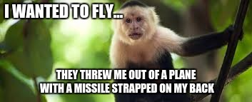 Flying monkey | I WANTED TO FLY... THEY THREW ME OUT OF A PLANE WITH A MISSILE STRAPPED ON MY BACK | image tagged in memes | made w/ Imgflip meme maker