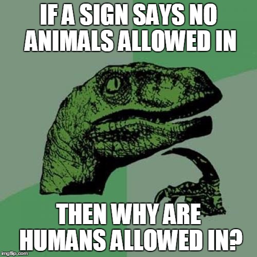 Philosoraptor Meme Imgflip