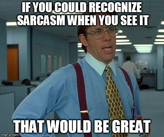 apparently some folks need this part /sarc | IF YOU COULD RECOGNIZE SARCASM WHEN YOU SEE IT; THAT WOULD BE GREAT | image tagged in memes,that would be great | made w/ Imgflip meme maker