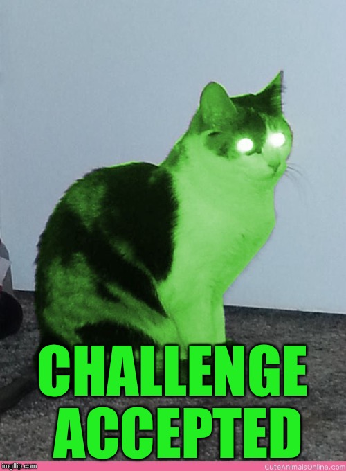 Hypno Raycat | CHALLENGE ACCEPTED | image tagged in hypno raycat | made w/ Imgflip meme maker