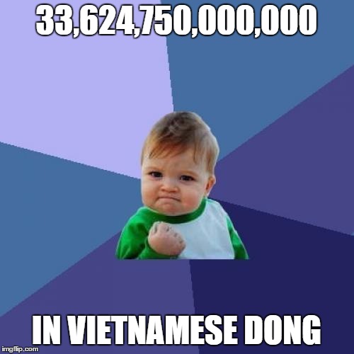 Success Kid Meme | 33,624,750,000,000 IN VIETNAMESE DONG | image tagged in memes,success kid | made w/ Imgflip meme maker