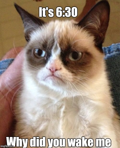 Grumpy Cat | It's 6:30; Why did you wake me | image tagged in memes,grumpy cat | made w/ Imgflip meme maker