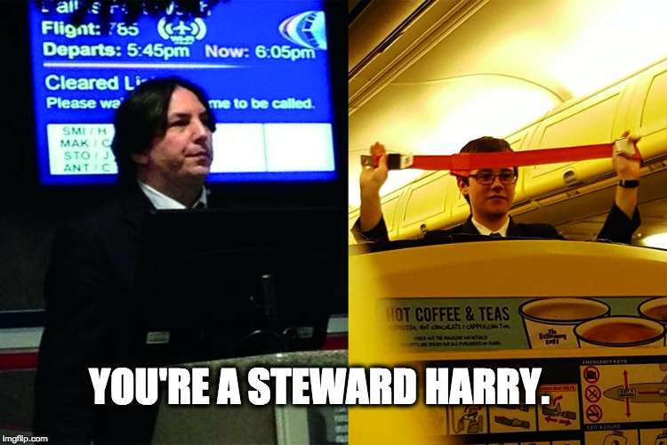 You're a Steward Harry | YOU'RE A STEWARD HARRY. | image tagged in snape,harry potter,potter,wizard,funny | made w/ Imgflip meme maker