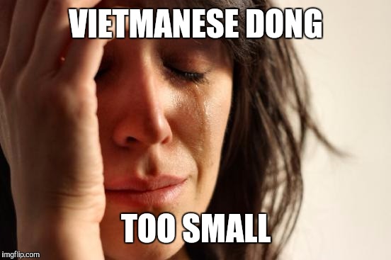 First World Problems Meme | VIETMANESE DONG TOO SMALL | image tagged in memes,first world problems | made w/ Imgflip meme maker