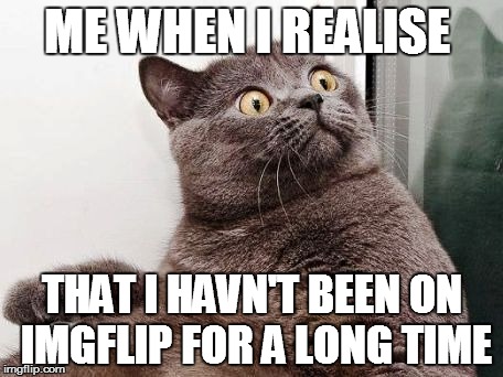 suprise cat | ME WHEN I REALISE; THAT I HAVN'T BEEN ON IMGFLIP FOR A LONG TIME | image tagged in suprise cat | made w/ Imgflip meme maker