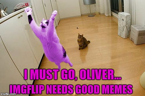 RayCat going to save the world | I MUST GO, OLIVER... IMGFLIP NEEDS GOOD MEMES | image tagged in raycat save the world,memes | made w/ Imgflip meme maker