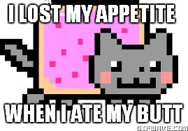 I LOST MY APPETITE; WHEN I ATE MY BUTT | image tagged in nyan | made w/ Imgflip meme maker