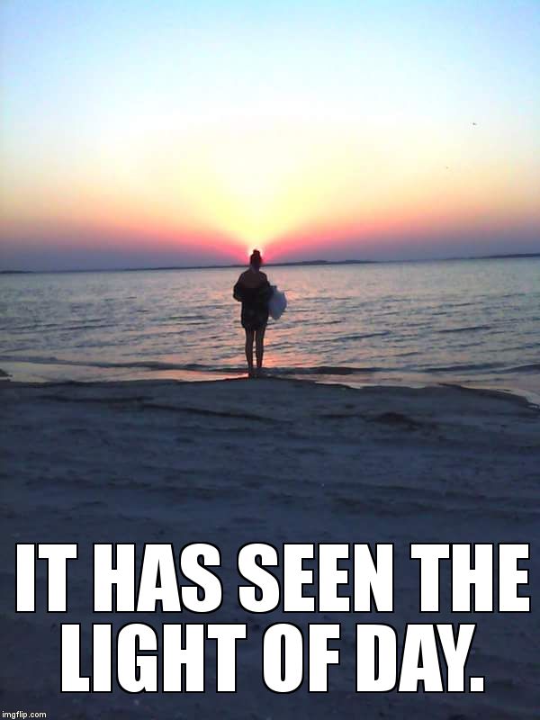 ocean sun | IT HAS SEEN THE LIGHT OF DAY. | image tagged in ocean sun | made w/ Imgflip meme maker