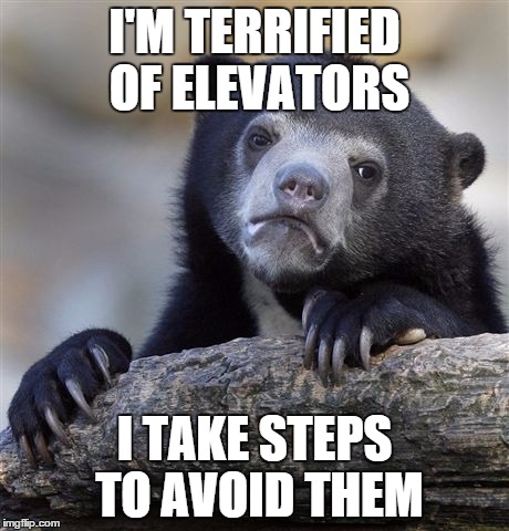 Confession Bear Meme | I'M TERRIFIED OF ELEVATORS; I TAKE STEPS TO AVOID THEM | image tagged in memes,confession bear | made w/ Imgflip meme maker