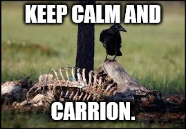Keep calm | KEEP CALM AND; CARRION. | image tagged in carrion | made w/ Imgflip meme maker