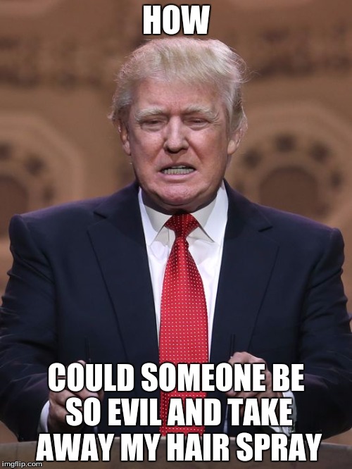 Donald Trump | HOW; COULD SOMEONE BE SO EVIL AND TAKE AWAY MY HAIR SPRAY | image tagged in donald trump | made w/ Imgflip meme maker