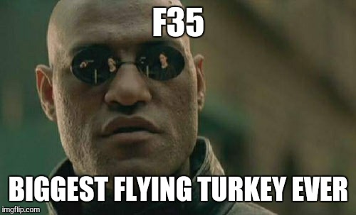 Matrix Morpheus Meme | F35 BIGGEST FLYING TURKEY EVER | image tagged in memes,matrix morpheus | made w/ Imgflip meme maker