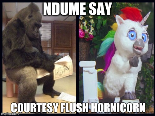 It don't smell like froyo... | NDUME SAY; COURTESY FLUSH HORNICORN | image tagged in ndume,unicorn,hornicorn,squatty potty,courtesy flush | made w/ Imgflip meme maker