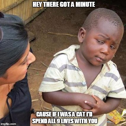 Third World Skeptical Kid | HEY THERE GOT A MINUTE; CAUSE IF I WAS A CAT I'D SPEND ALL 9 LIVES WITH YOU | image tagged in memes,third world skeptical kid | made w/ Imgflip meme maker