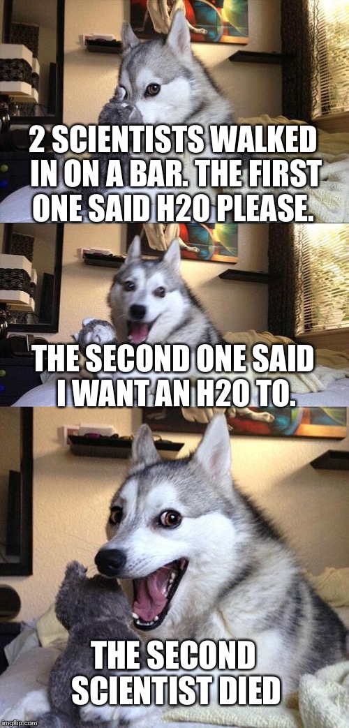 Bad Pun Dog Meme | 2 SCIENTISTS WALKED IN ON A BAR. THE FIRST ONE SAID H2O PLEASE. THE SECOND ONE SAID I WANT AN H2O TO. THE SECOND SCIENTIST DIED | image tagged in memes,bad pun dog | made w/ Imgflip meme maker