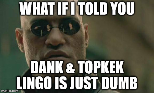 Matrix Morpheus | WHAT IF I TOLD YOU; DANK & TOPKEK LINGO IS JUST DUMB | image tagged in memes,matrix morpheus | made w/ Imgflip meme maker