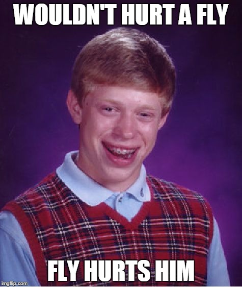 Bad Luck Brian Meme | WOULDN'T HURT A FLY; FLY HURTS HIM | image tagged in memes,bad luck brian | made w/ Imgflip meme maker