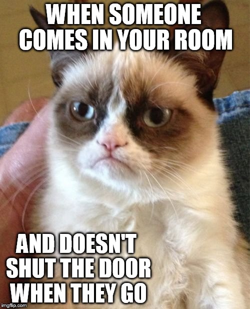 #life #cats #grumpycat | WHEN SOMEONE COMES IN YOUR ROOM; AND DOESN'T SHUT THE DOOR WHEN THEY GO | image tagged in memes,grumpy cat | made w/ Imgflip meme maker