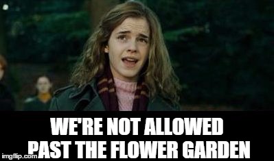 Just Hermione | WE'RE NOT ALLOWED PAST THE FLOWER GARDEN | image tagged in just hermione | made w/ Imgflip meme maker