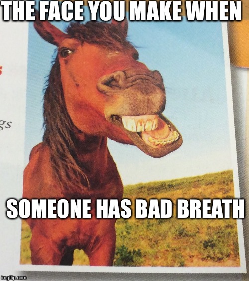 THE FACE YOU MAKE WHEN; SOMEONE HAS BAD BREATH | image tagged in it's just a fucking horse bitch | made w/ Imgflip meme maker