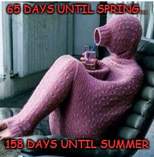 65 Days Till Spring | 65 DAYS UNTIL SPRING... 158 DAYS UNTIL SUMMER | image tagged in 65 days till spring | made w/ Imgflip meme maker